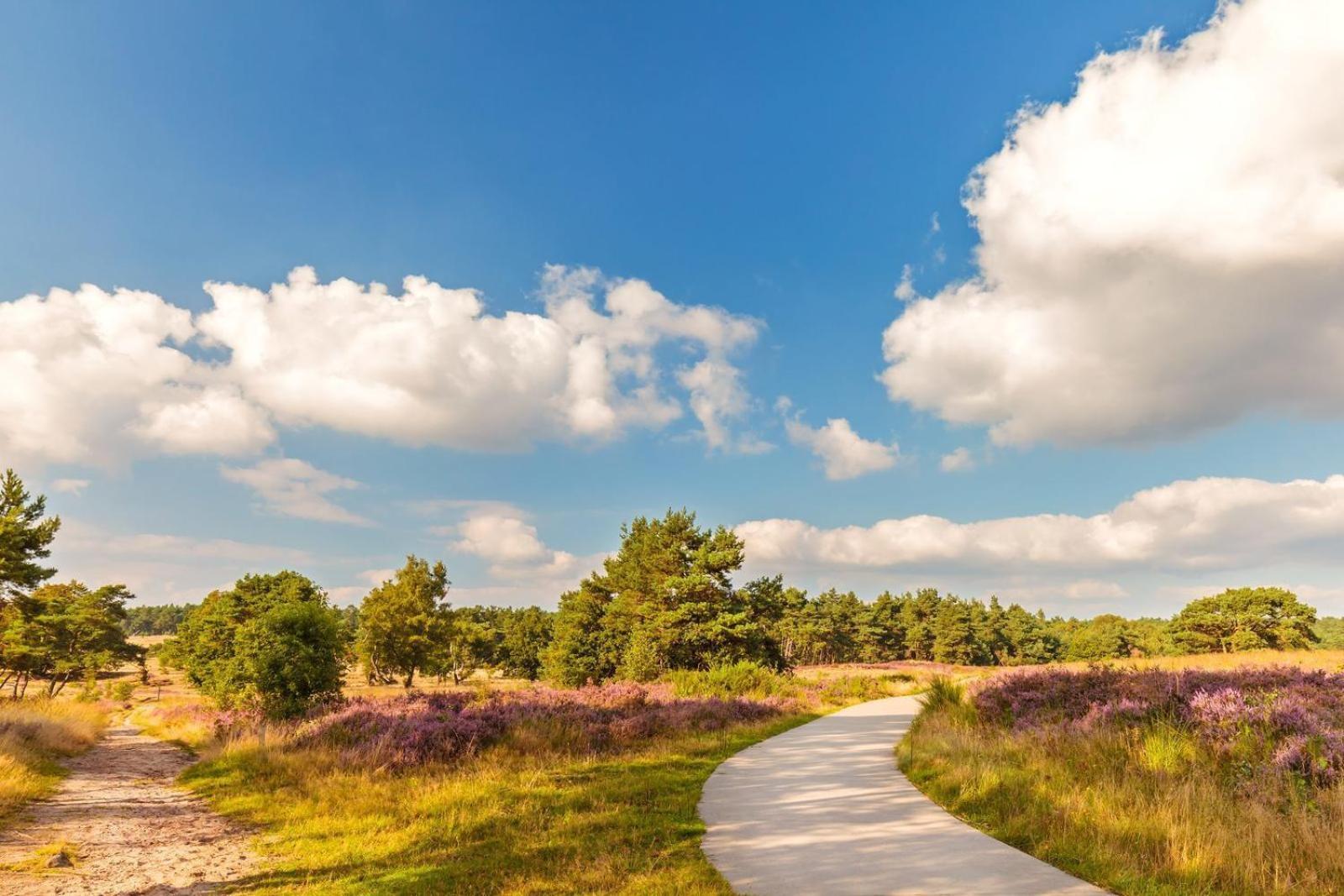 Top Luxe Chalet - Kindvriendelijk - Bos En Heide هارفايك المظهر الخارجي الصورة