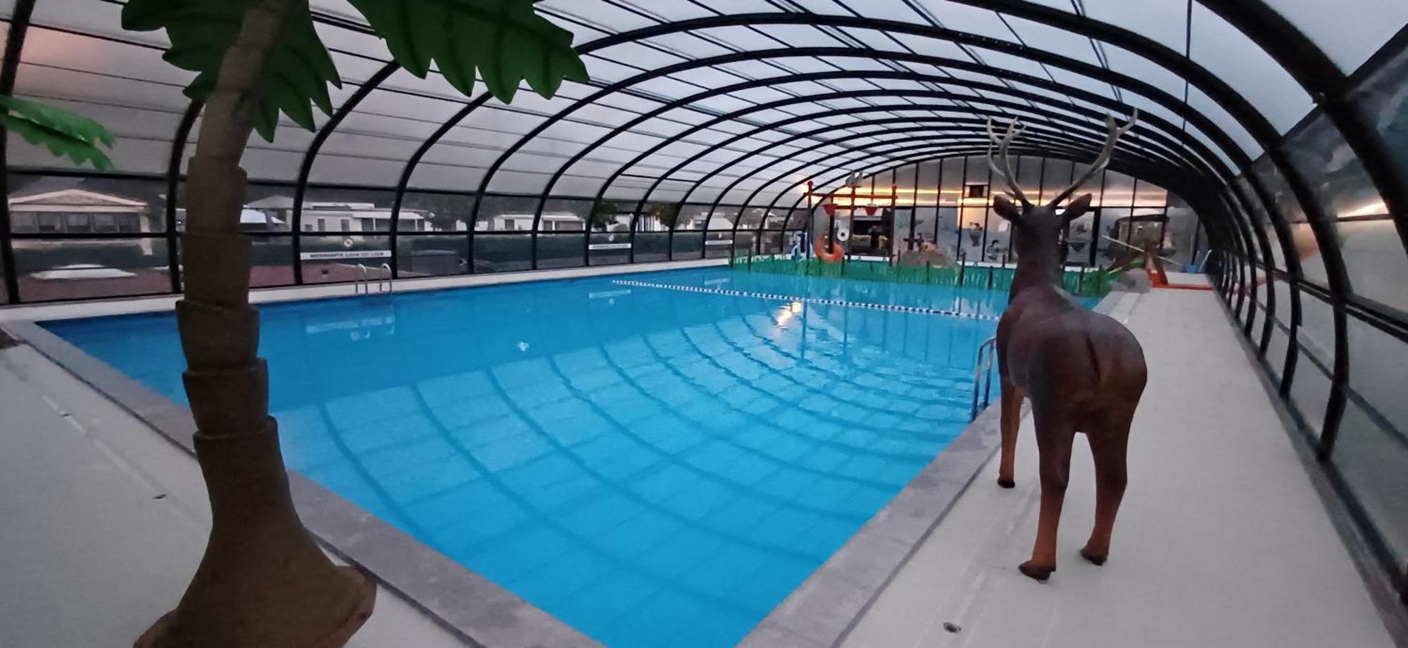 Top Luxe Chalet - Kindvriendelijk - Bos En Heide هارفايك المظهر الخارجي الصورة